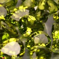 Natural Peridot 106.76 Carats Green Pear 12x10 mm Loose Gemstone - Image 2
