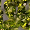 Natural Peridot 106.76 Carats Green Pear 12x10 mm Loose Gemstone - Image 5