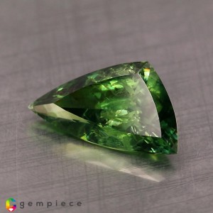 demantoid garnet  3.75cts - 15x8mm