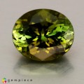 Natural Tourmaline 1.66 Carats Honey Green Oval 8x7 mm Loose Gemstone - Image 1