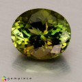 Natural Tourmaline 1.66 Carats Honey Green Oval 8x7 mm Loose Gemstone - Image 2