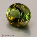 Natural Tourmaline 1.66 Carats Honey Green Oval 8x7 mm Loose Gemstone - Image 3