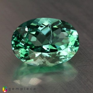 apatite  2.63cts - 10x7mm