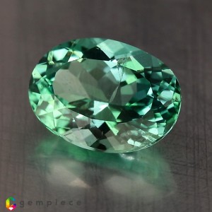 apatite  2.63cts - 10x7mm