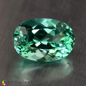 apatite  2.39cts - 10x7mm