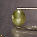 Natural Chrysoberyl cats eye 2.22 Carats Yellow Oval Cabochon 8x7 mm Loose Gemstone - Image 1