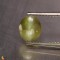 chrysoberyl cats eye  2.22cts - 8x7mm