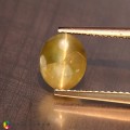 Natural Chrysoberyl cats eye 2.22 Carats Yellow Oval Cabochon 8x7 mm Loose Gemstone - Image 2