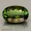 Natural Tourmaline 2.42 Carats Honey Green Oval 11x7 mm Loose Gemstone - Image 1