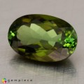 Natural Tourmaline 2.42 Carats Honey Green Oval 11x7 mm Loose Gemstone - Image 2