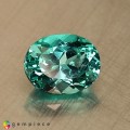 Natural Apatite 1.60 Carats Paraiba Blue Green Oval 8x6 mm Loose Gemstone - Image 1