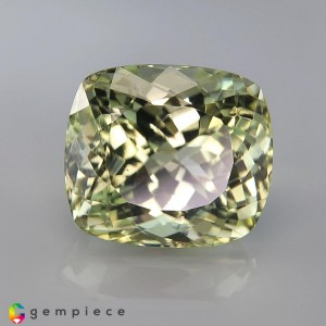 Sillimanite  15.29cts - 15x13mm