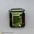 Natural Tourmaline pair 7.12 Carats Honey Green Octagon 9x6 mm Loose Gemstone - Image 5