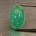 Natural Peru opal 6.63 Carats Paraiba Blue Green Oval Cabochon 16x10 mm Loose Gemstone - Image 4