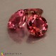 tourmaline Pink Tourmaline image