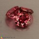 tourmaline Pink Tourmaline image