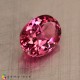 Showing image for tourmaline tourmaline image