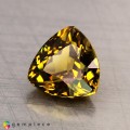 Natural Grossular garnet 1.63 Carats Yellow Trilliant  7x5 mm Loose Gemstone - Image 2