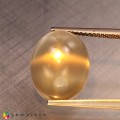 Natural Golden star moonstone 9.08 Carats Golden Sheen Oval Cabochon 15x12 mm Loose Gemstone - Image 5