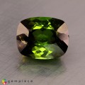 Natural Tourmaline 5.11 Carats Honey Green Cushion 11x9 mm Loose Gemstone - Image 5