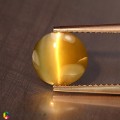 Natural Chrysoberyl cats eye 2 Carats Yellow Round 9x3 mm Loose Gemstone - Image 5