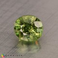 Natural Demantoid garnet 0.99 Carats Green Oval 5x4 mm Loose Gemstone - Image 6