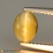 chrysoberyl cats eye  1.31cts - 7x6mm