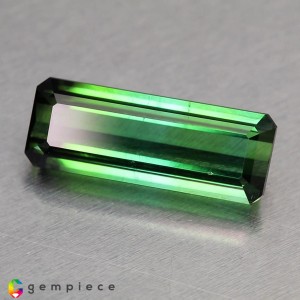 tourmaline  3.39cts - 14x5mm