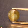 Natural Chrysoberyl cats eye 2.11 Carats Yellowish Green Oval Cabochon 8x7 mm Loose Gemstone - Image 1