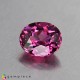 Showing image for malaya garnet malaya garnet Malaya Garnet image