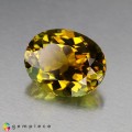 Natural Tourmaline 3.44 Carats Yellow Green Oval 11x9 mm Loose Gemstone - Image 2