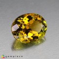 Natural Tourmaline 3.44 Carats Yellow Green Oval 11x9 mm Loose Gemstone - Image 6