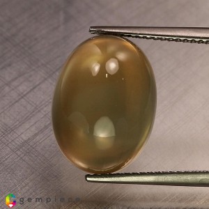 golden star moonstone  11.09cts - 16x12mm golden star moonstone  11.09cts - 16x12mm