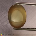 Natural Golden star moonstone 11.09 Carats Golden Sheen Oval Cabochon 16x12 mm Loose Gemstone - Image 5