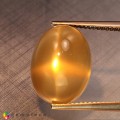 Natural Golden star moonstone 11.09 Carats Golden Sheen Oval Cabochon 16x12 mm Loose Gemstone - Image 6