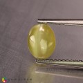 Natural Chrysoberyl cats eye 2.02 Carats Yellow Oval Cabochon 7x6 mm Loose Gemstone - Image 2