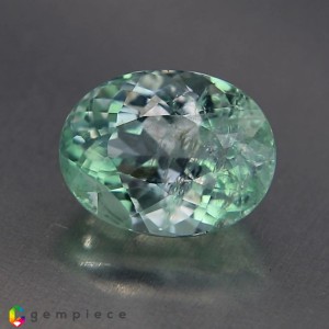 montebrasite  3.69cts - 11x8mm