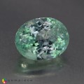 Natural Montebrasite 3.69 Carats Baby Green Oval 11x8 mm Loose Gemstone - Image 1