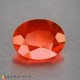 Showing image for fire opal fire opal Fire Opal image