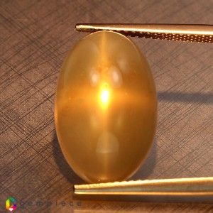 moonstone  12.68cts - 19x12mm moonstone  12.68cts - 19x12mm