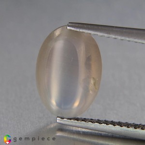 Sillimanite cats eye  4.80cts - 11x8mm