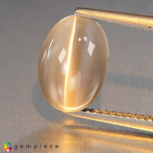 Sillimanite cats eye  4.80cts - 11x8mm