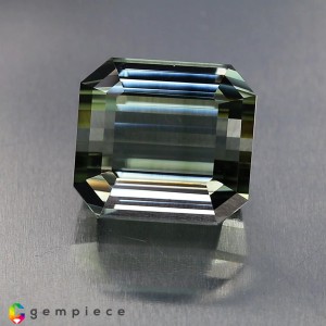 tourmaline  26.18cts - 16x14mm