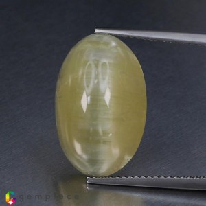 danburite cats eye  14.92cts - 19x12mm