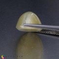 Natural Danburite cats eye 14.92 Carats Light Pastel Yellow Oval Cabochon 19x12 mm Loose Gemstone - Image 3