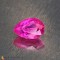 ruby  1.20cts - 7x5mm