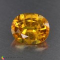Natural Sapphire 3.28 Carats Golden Yellow Oval 10x8 mm Loose Gemstone - Image 4
