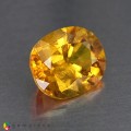 Natural Sapphire 3.28 Carats Golden Yellow Oval 10x8 mm Loose Gemstone - Image 7