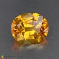 Natural Sapphire 3.28 Carats Golden Yellow Oval 10x8 mm Loose Gemstone - Image 1