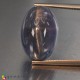 Showing image for apatite cats eye apatite cats eye image